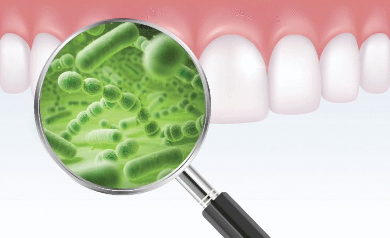 Estudio Estableció Que La Microbiota Bucal Influye En El Proceso ...