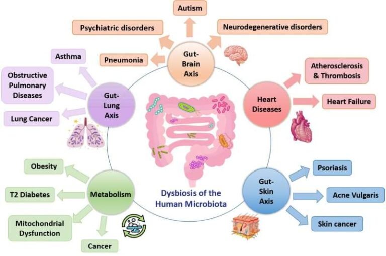 Medicina de la microbiota Hacia la revolución clínica Ciencia y Salud